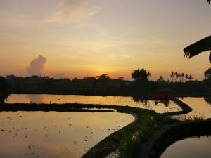 Villa Paya - Ubud