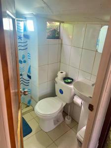 CasaBus beautiful bus dept. 50m from beach