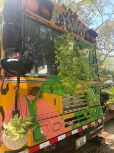 CasaBus beautiful bus dept. 50m from beach