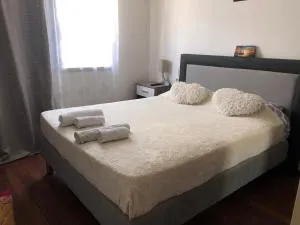 Chambre privée confortable à louer chez l habitant proche plage et centre ville de Nice - 卡罗