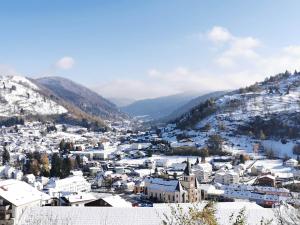 Chalets Fenetre sur les cretes Vosgiennes : photos des chambres