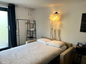 Appartements Studio Strasbourg avec jardin : photos des chambres