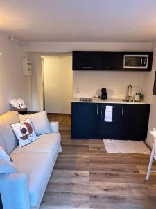 Appartements Studio Strasbourg avec jardin : photos des chambres