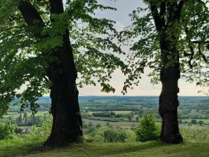 Maisons de vacances l'Aile du Chateau : photos des chambres