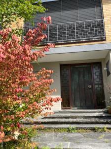 Ferienwohnung Urban - AHORN -- Meersburg