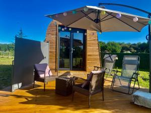 Logement insolite : La Ruche Verte