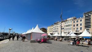 Appartements celebre vieux port, Marseille : photos des chambres