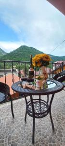 Guest house BORJOMULA