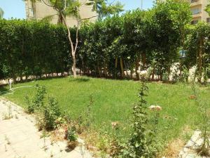 Luxury King Bed with garden-Zayed Families only