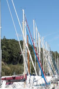 Appartements Gite Le Bolzen : photos des chambres