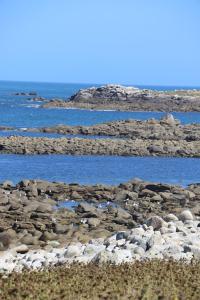 Appartements Gite Le Bolzen : photos des chambres