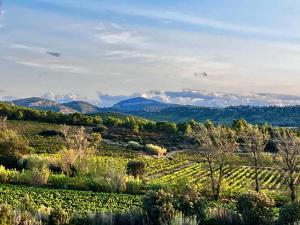 Maisons de vacances Gites Corbieres : photos des chambres