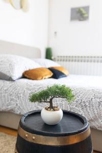 Bonsai 