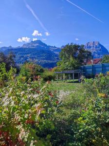 Maisons de vacances Maison spacieuse au coeur du Pays du Mont-Blanc : photos des chambres