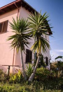 Agriturismo Serra Maiori img18