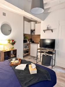 Appartements Beau studio et sa terrasse quartier historique : photos des chambres