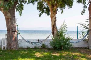 LeMaMi Seafront Bungalows