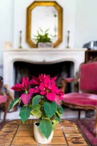 Maisons de vacances Villa coutrillonne pres St Emilion [clim salon] : photos des chambres
