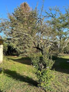 Maisons de vacances Villa coutrillonne pres St Emilion [clim salon] : photos des chambres