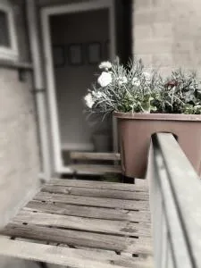 Tailte Trá - 康洛赫