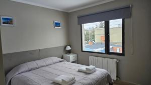 CONDOR Patagonia Aparts