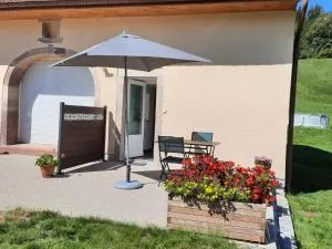 Charmant gîte en montagne, 3 étoiles, proche randonnées et Alsace, tout confort avec terrasse. - FR-1-589-391 - Vecoux