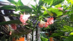 Casa RnR at Paradise Gourmet