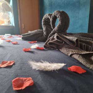 Bateaux Nuit insolite bateau a quai - Port Saint Louis du Rhone : photos des chambres