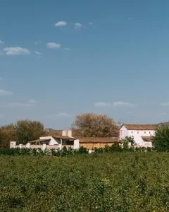 The Luxe Pushkar - A Luxury Farmstay in Pushkar - Nīmri