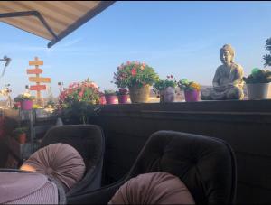 Idyllisches Nest über den Dächern