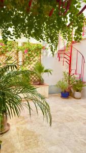 Gite AVIGNON BOUGAINVILLIER