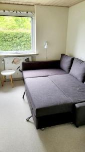 Thuya Rica house (1.6km to Legoland)