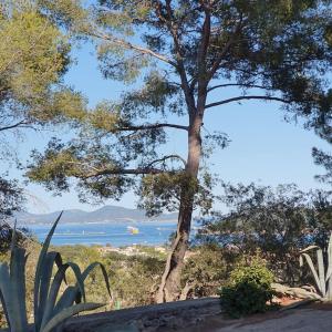 Logement avec vue MER