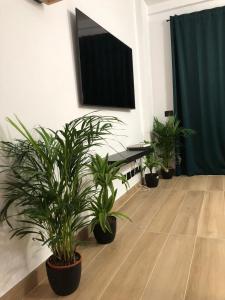 Tu apartamento en vacaciones