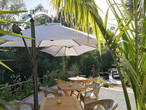 Finca verde de la luz