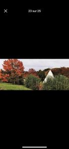 Campings Mobile home N 48 sur camping 4 etoiles : photos des chambres