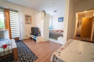 Ferien und Monteurwohnung