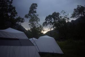 Drishtee Homestay