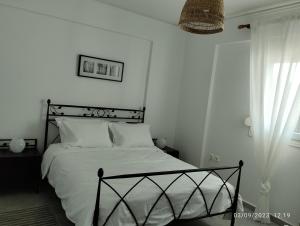 SnD Rentals -Boutique apartments