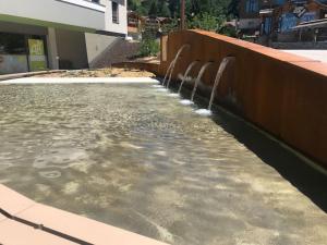 Appartements studio 3 *** centre village Saint-Jean-de-Sixt : photos des chambres