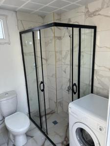 Africa in the heart of city center