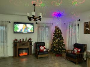 Cabana Maramures Landscape