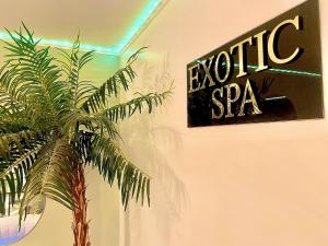 Appartements Exotic spa : photos des chambres