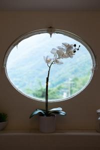 Appartamento "Bella vista" sul Lago di Como
