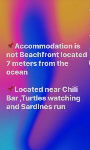 Pescador View - Beachfront ,Extensions & nearby the Ocean Hostels & Restaurant Moalboal