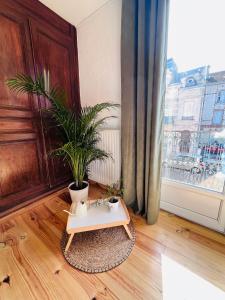 Appartements Appartement « Dolce Vita » : photos des chambres