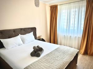 4FriendsCoresiBrasov Red