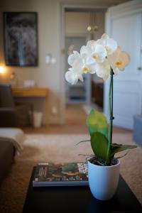 B&B / Chambres d'hotes Clos 1906 : photos des chambres