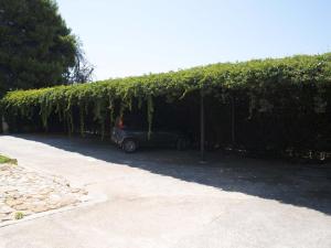 S.Giorgio Apartments