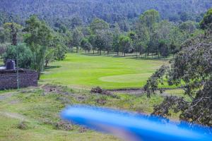 Milimani Apartment Nakuru Comfy Homestays